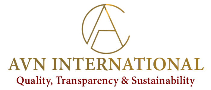 AVN International logo