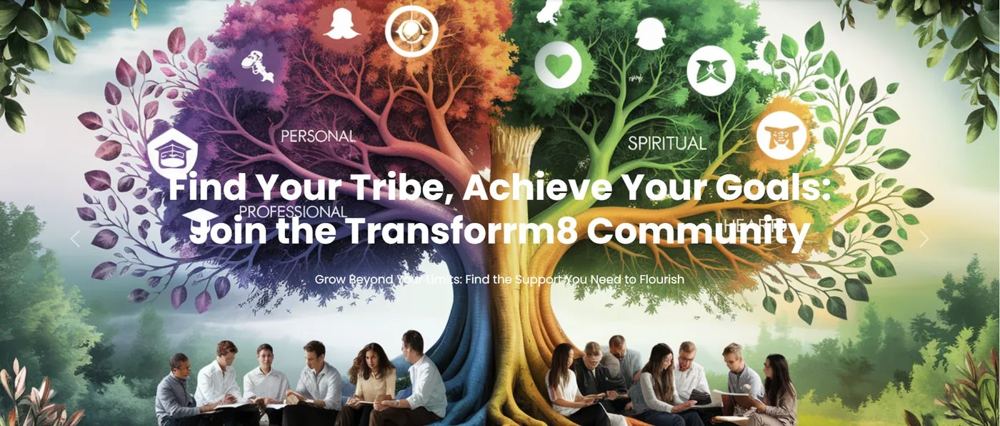 Transform8 — website preview